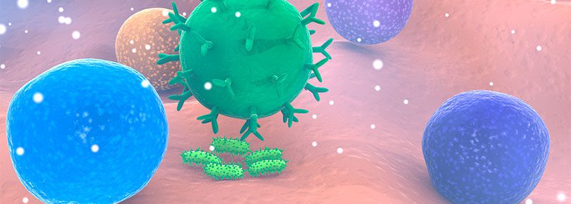 Sistema inmune y microinmunoterapia | AEMI